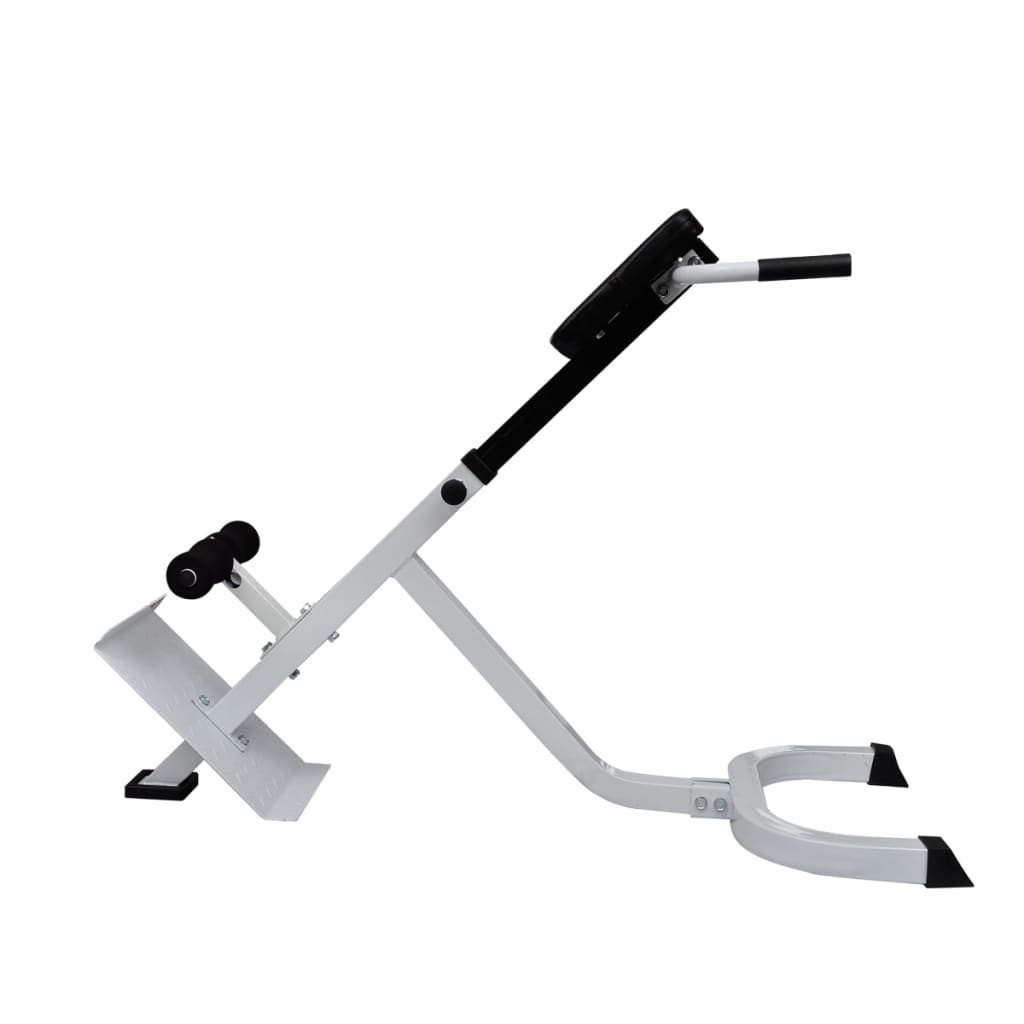 vidaXL Back Extension Bench