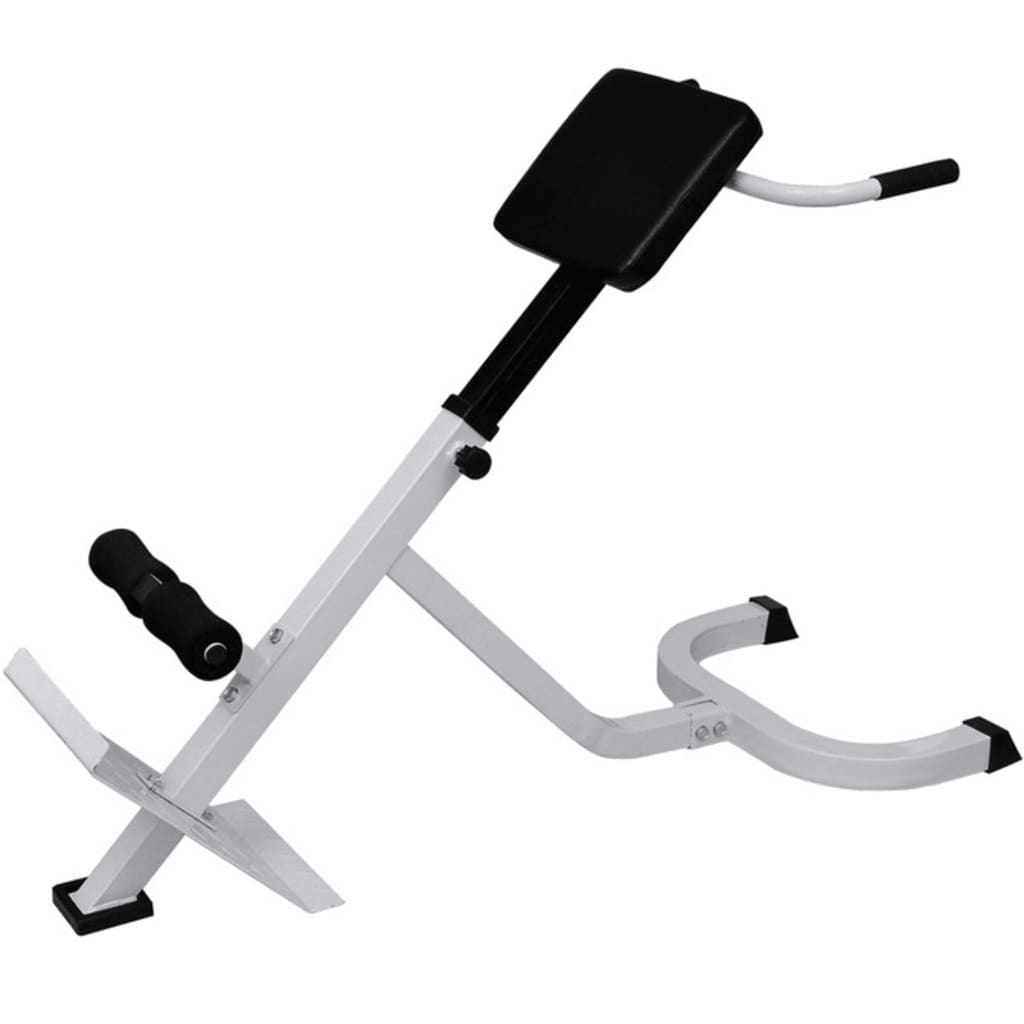 vidaXL Back Extension Bench