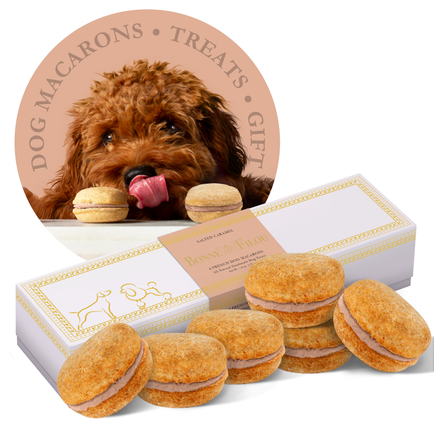 Dog Macarons (Box of 6)