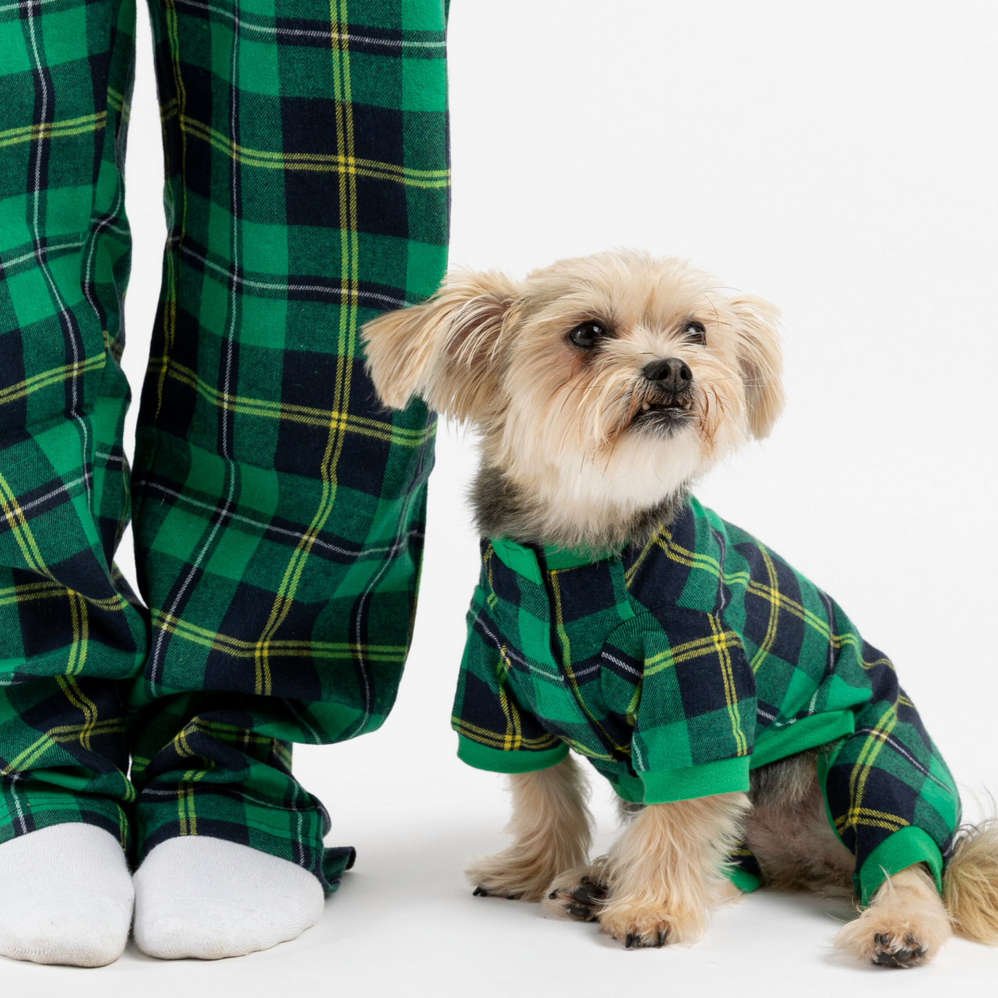 Matching Human & Dog Pajama - Plaid Green