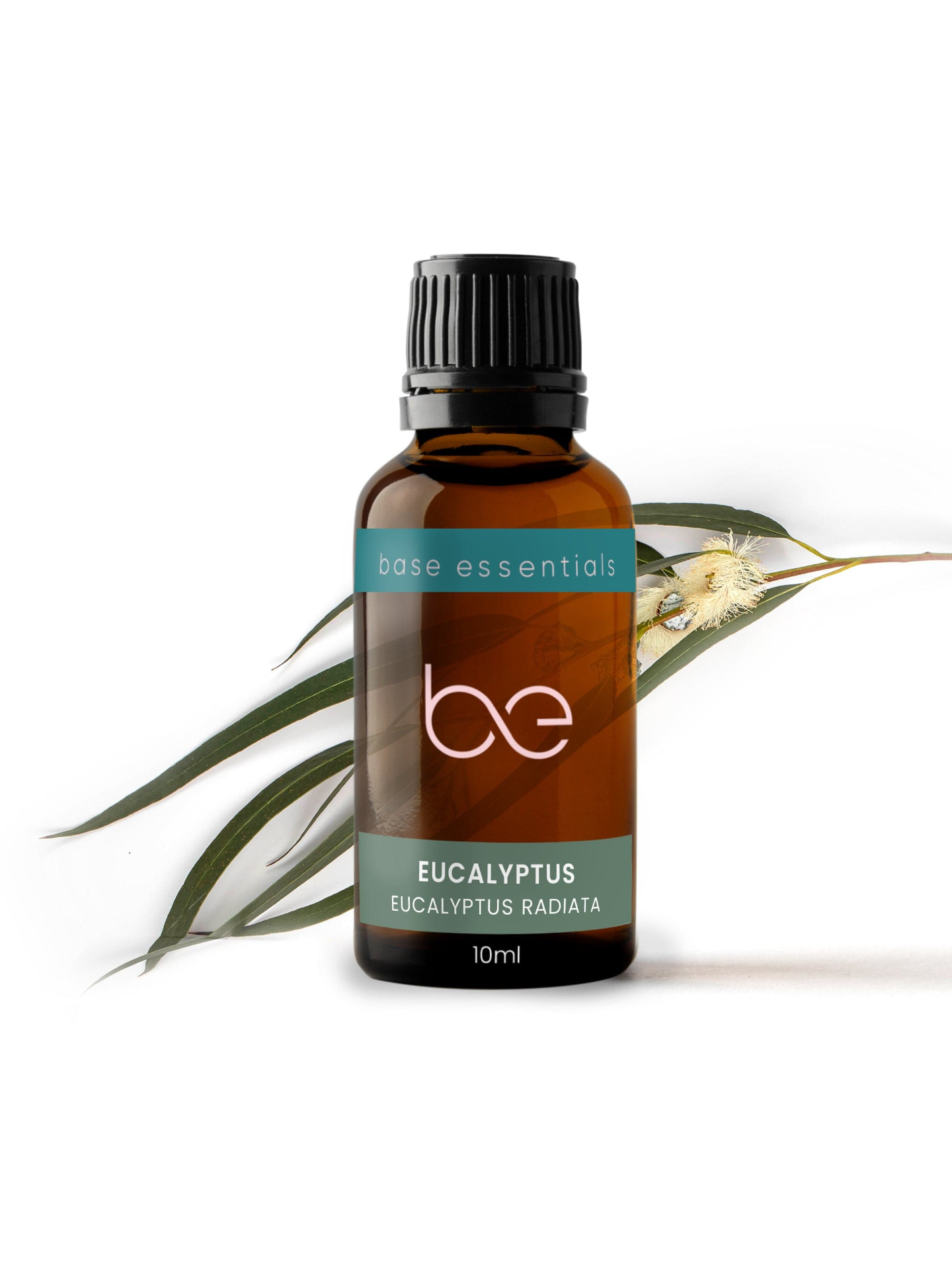 Pure Essential Oil Eucalyptus, Organic 10ml